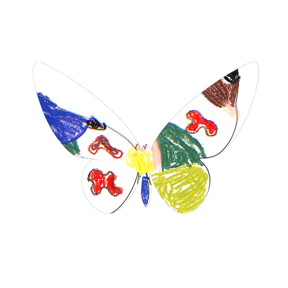 Original Butterfly Image