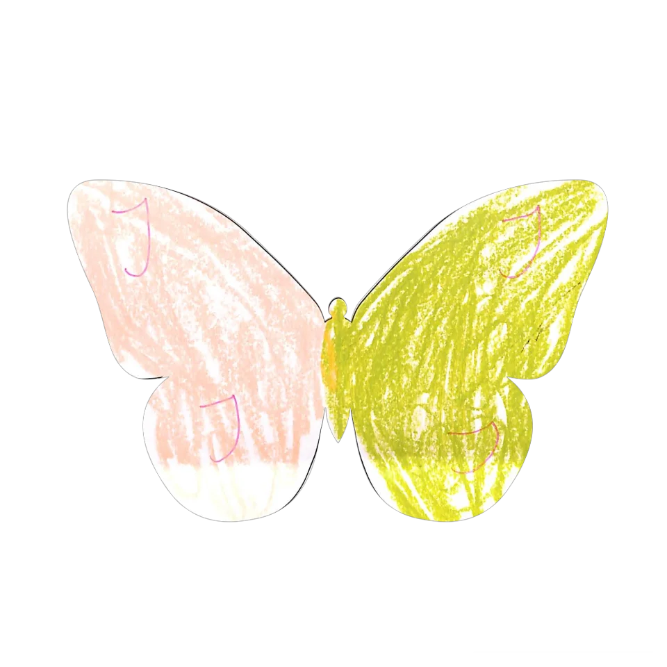 Original Butterfly Image