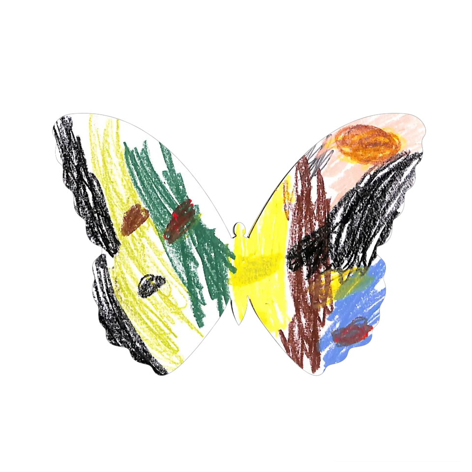 Original Butterfly Image