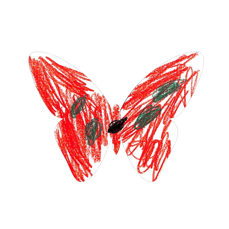 Original Butterfly Image