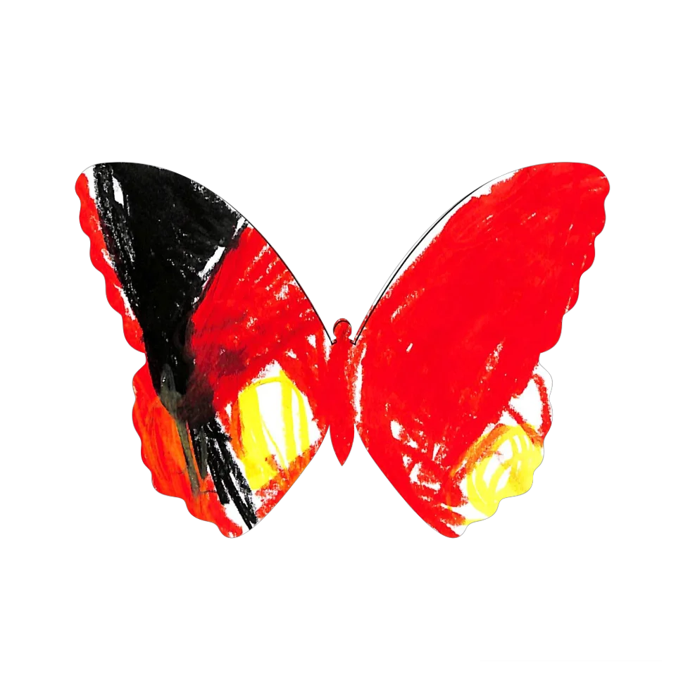 Original Butterfly Image