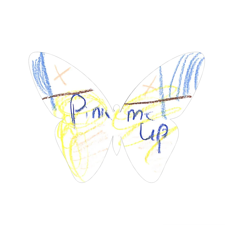 Original Butterfly Image