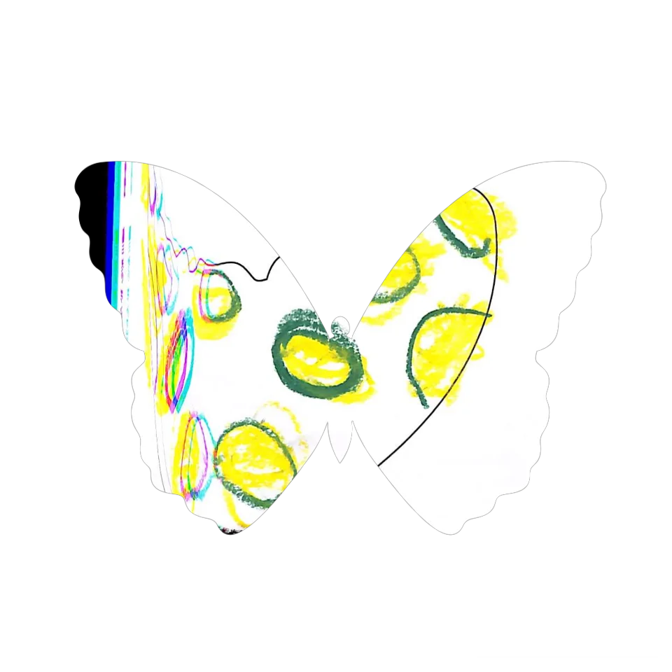 Original Butterfly Image