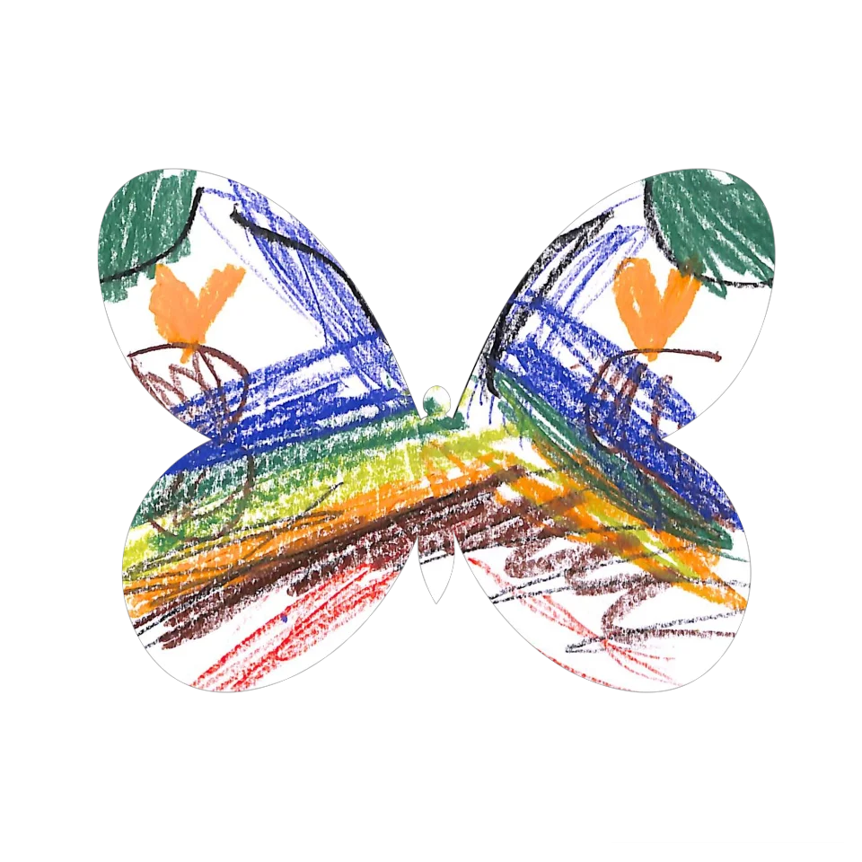 Original Butterfly Image