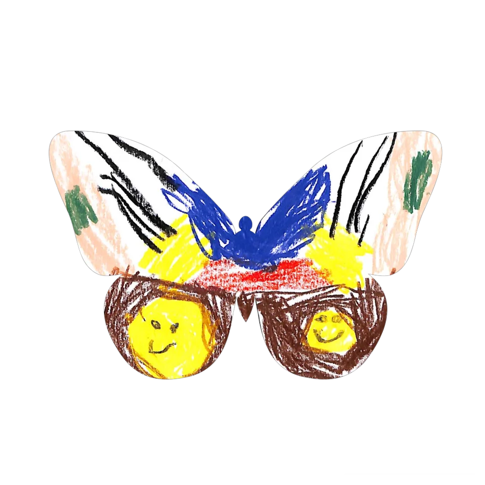 Original Butterfly Image