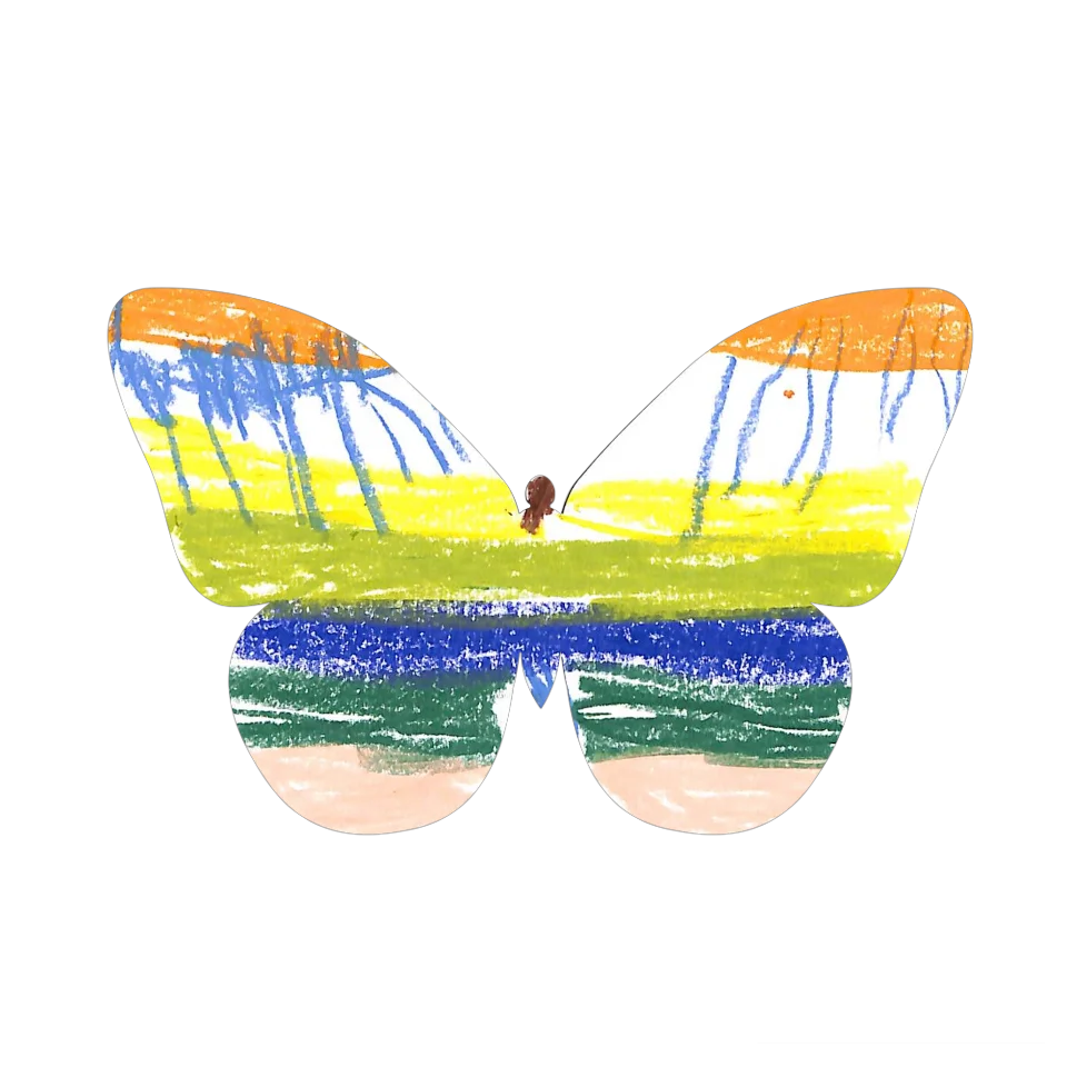 Original Butterfly Image