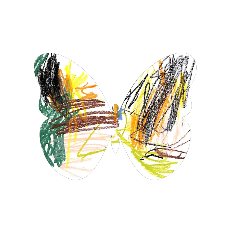 Original Butterfly Image
