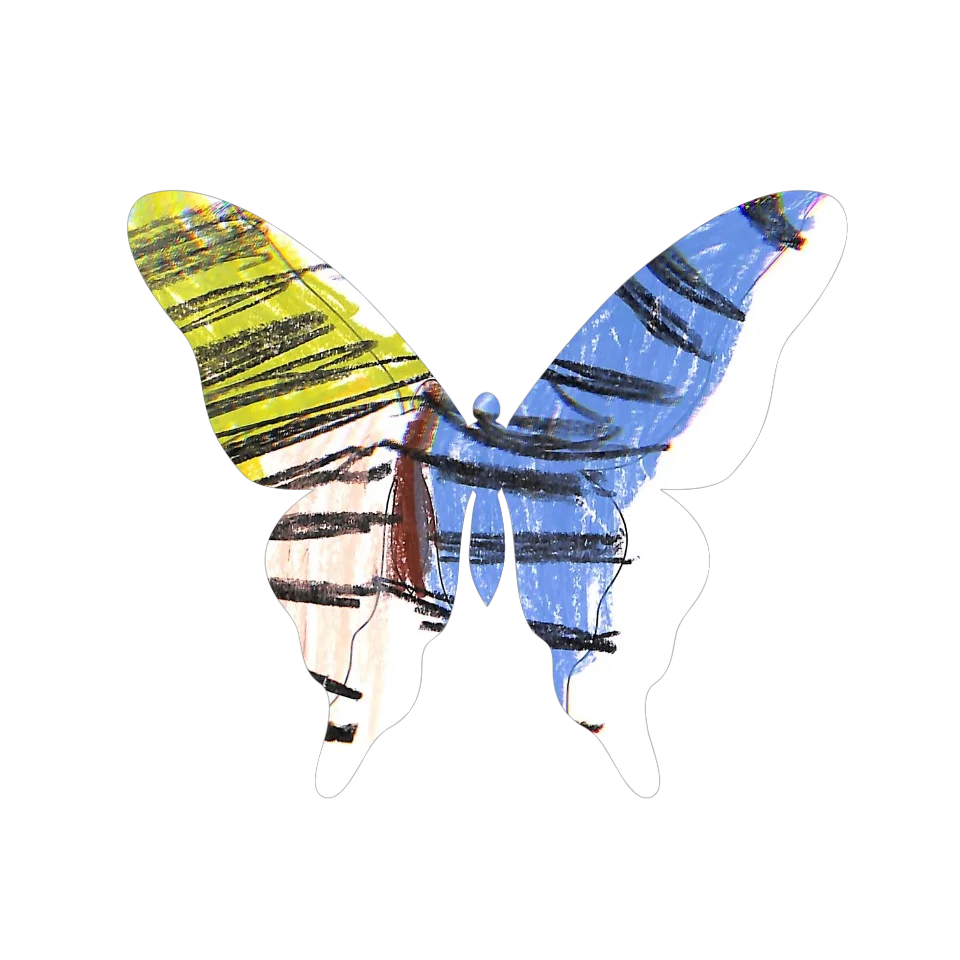 Original Butterfly Image