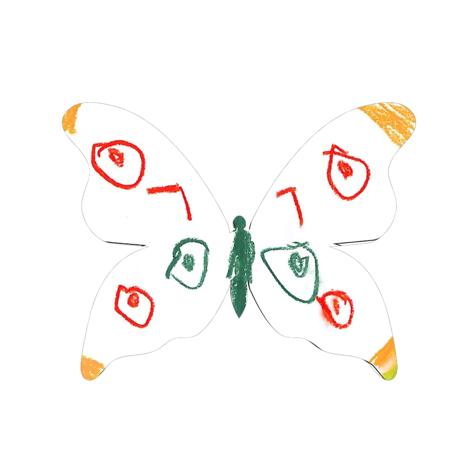 Original Butterfly Image