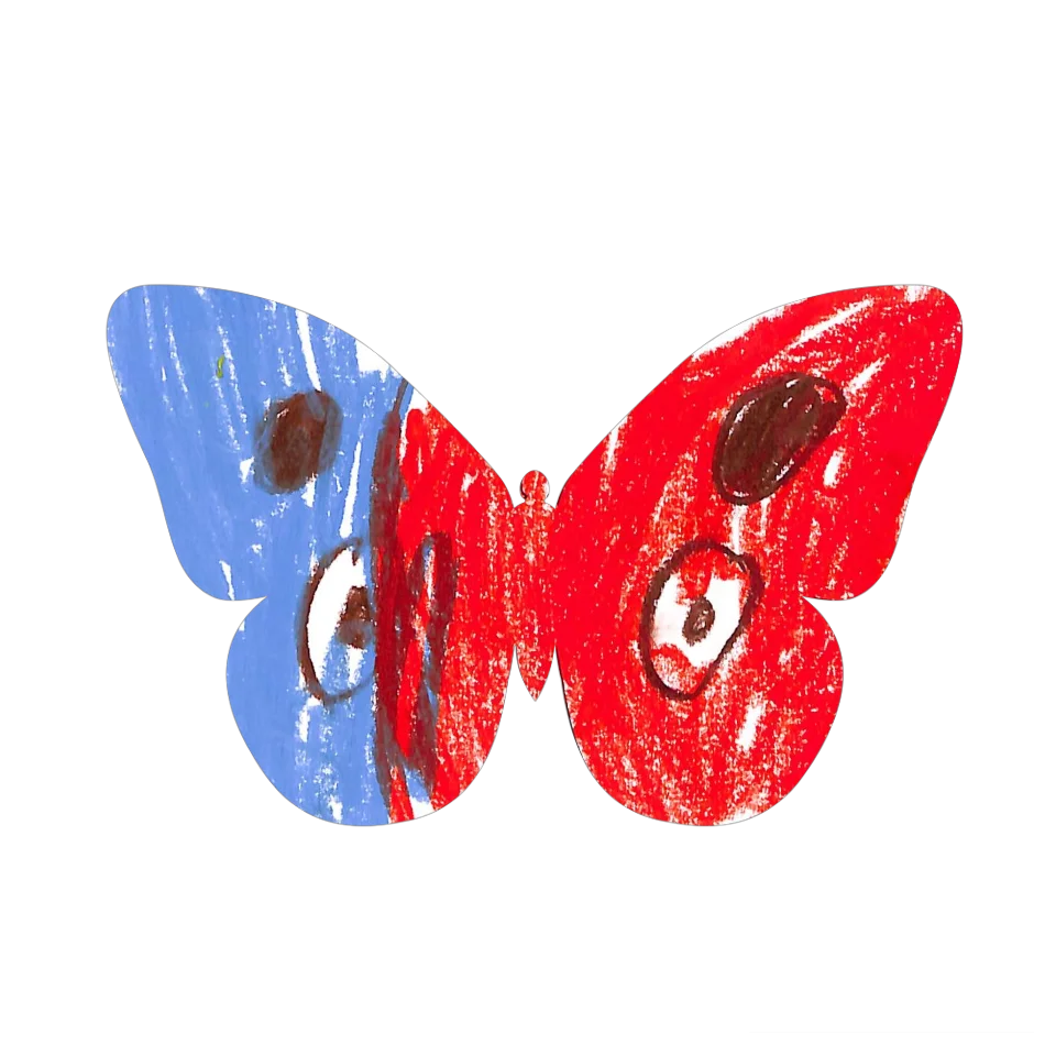 Original Butterfly Image
