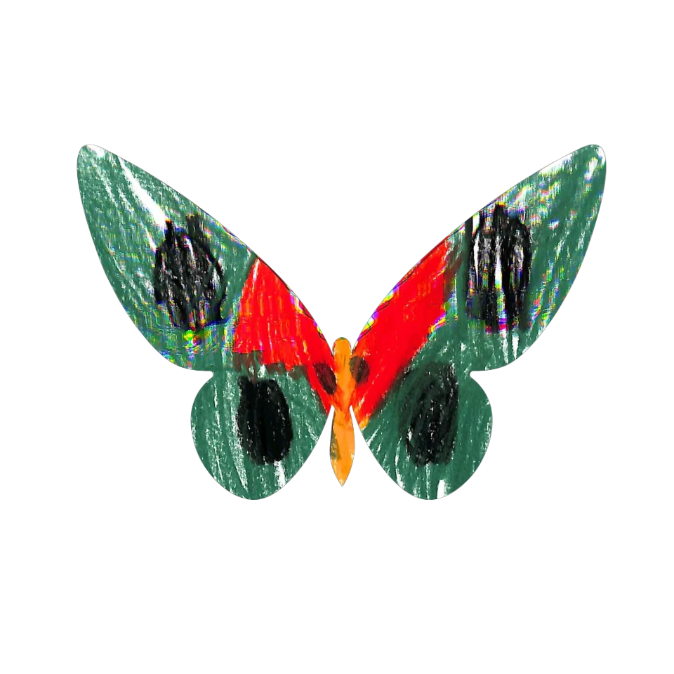 Original Butterfly Image