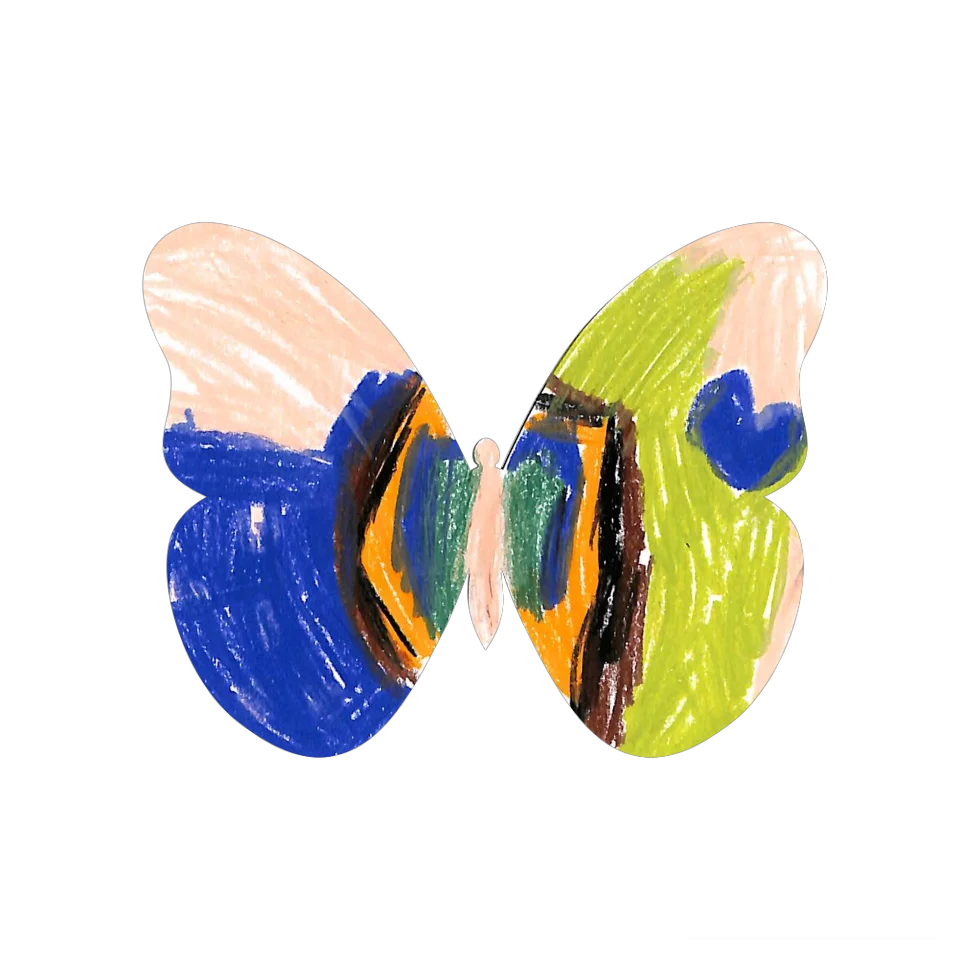 Original Butterfly Image