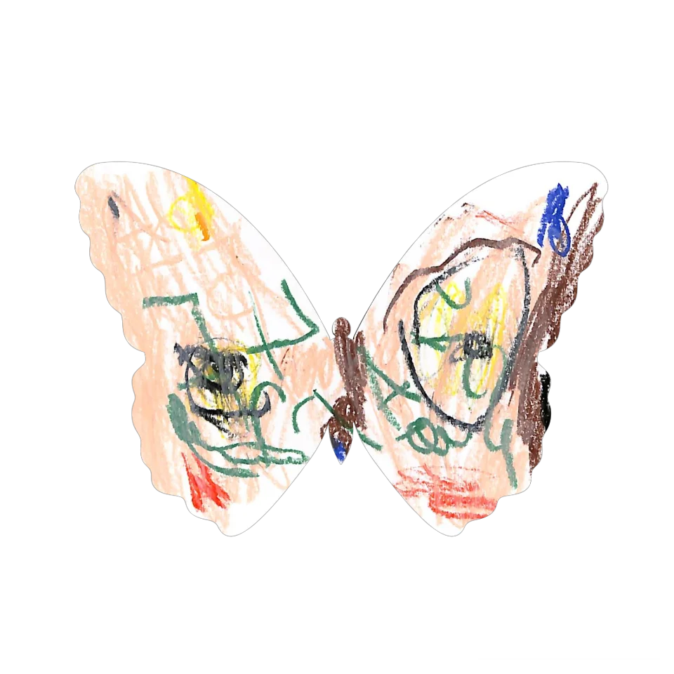 Original Butterfly Image