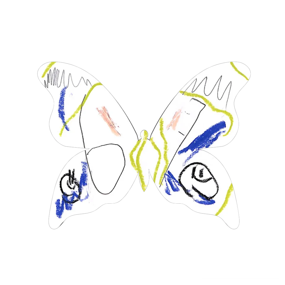 Original Butterfly Image