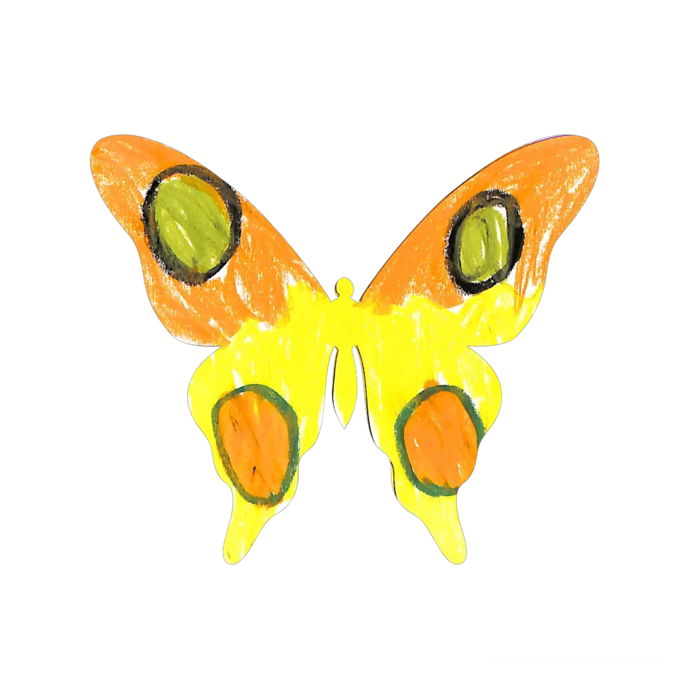Original Butterfly Image