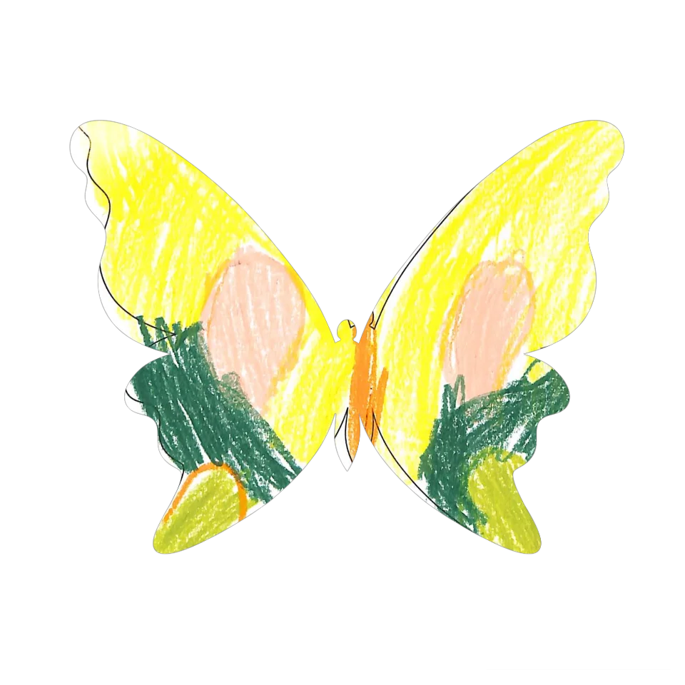 Original Butterfly Image