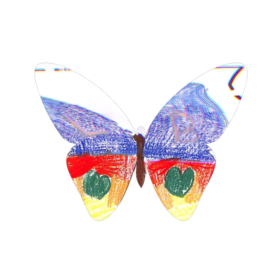 Original Butterfly Image