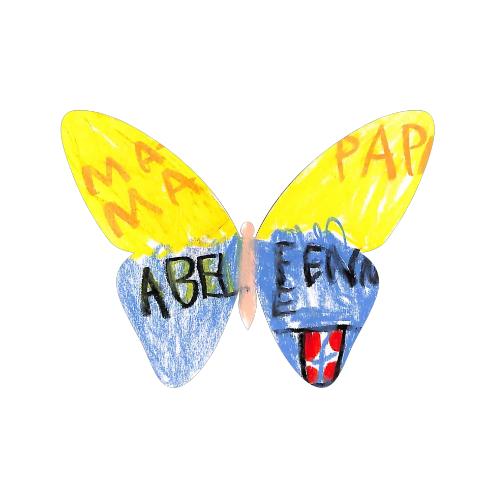 Original Butterfly Image