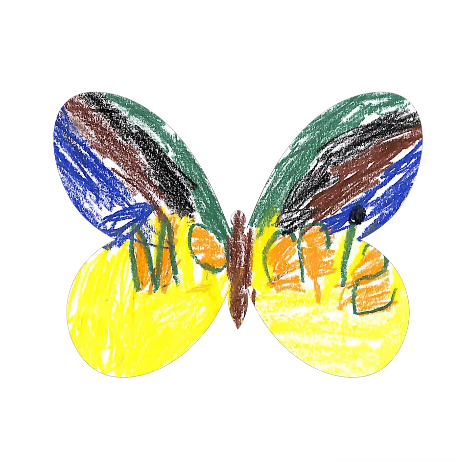 Original Butterfly Image