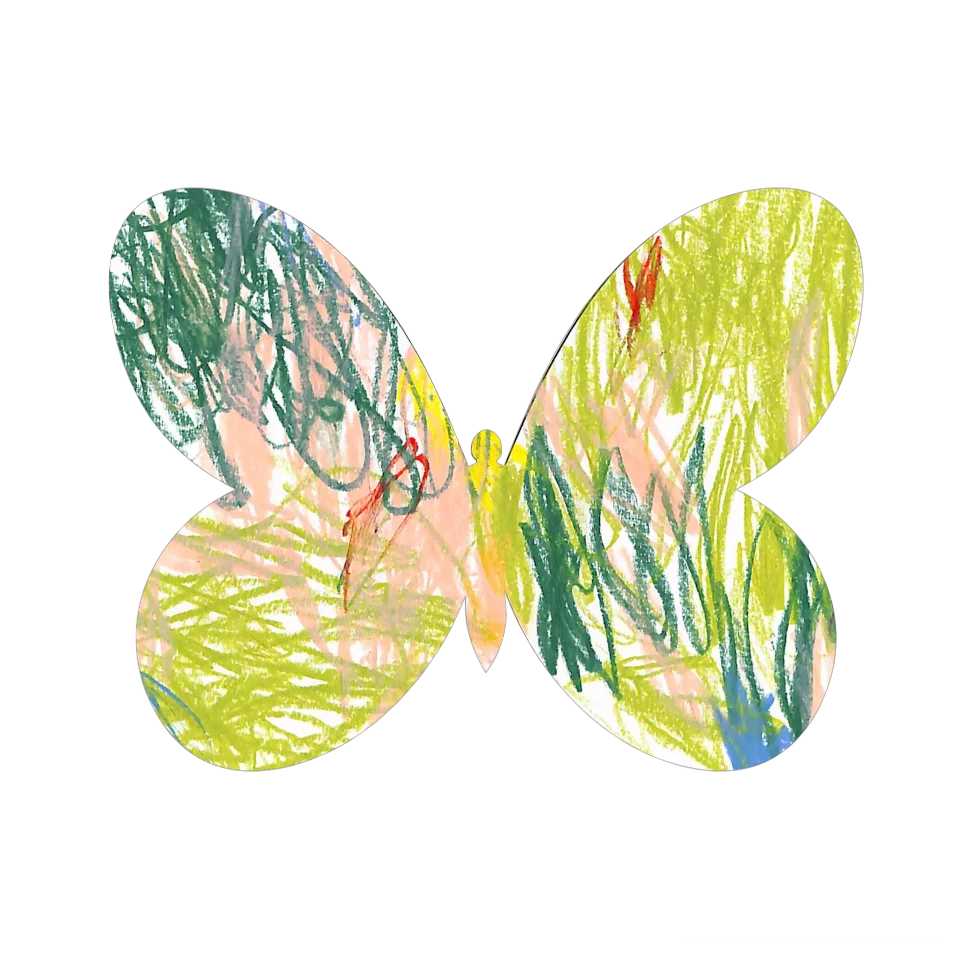 Original Butterfly Image