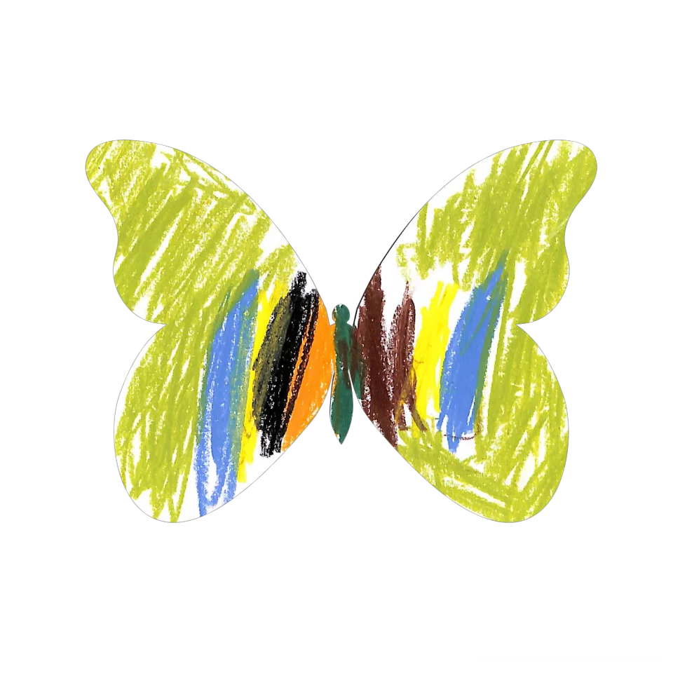 Original Butterfly Image