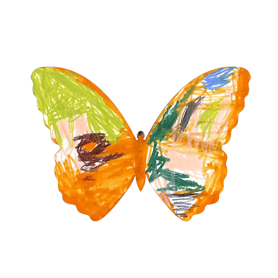 Original Butterfly Image
