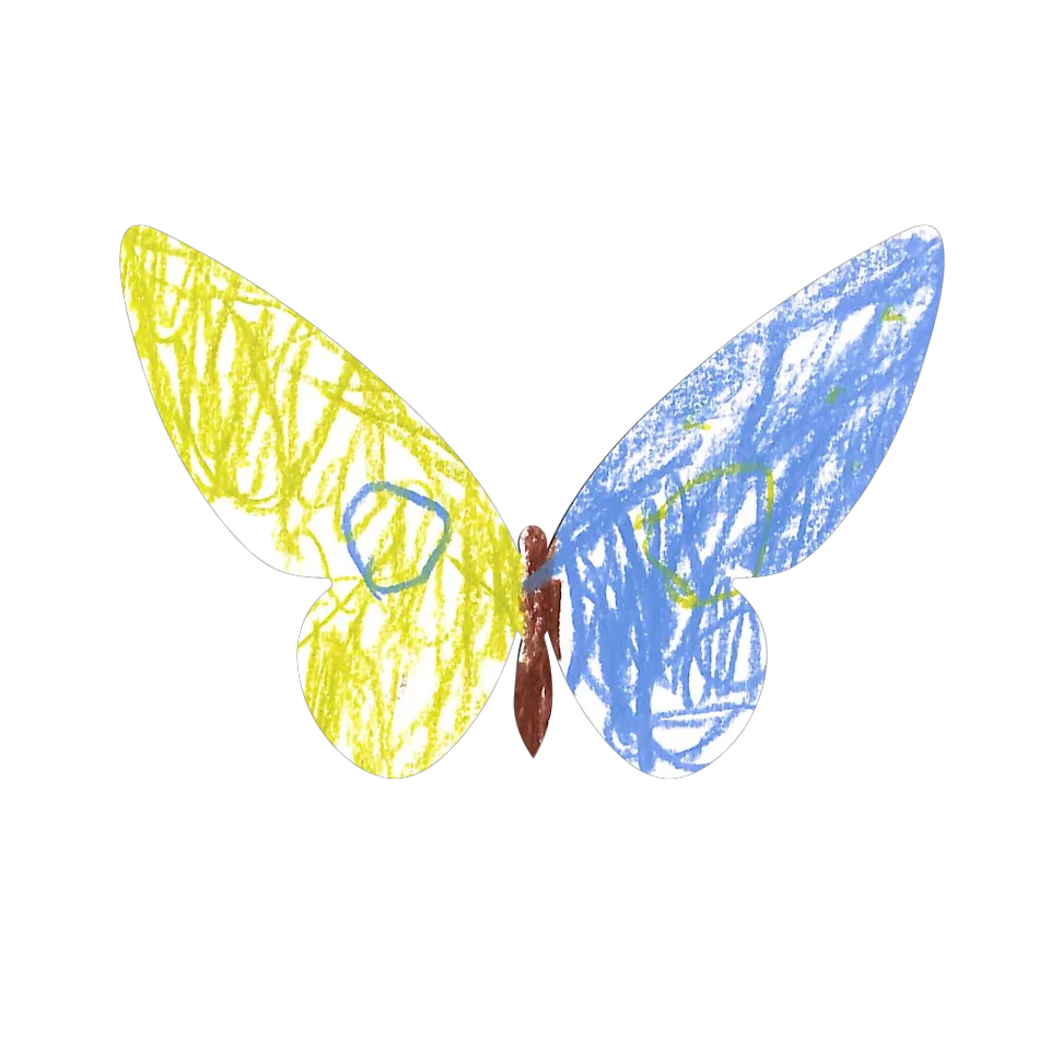 Original Butterfly Image