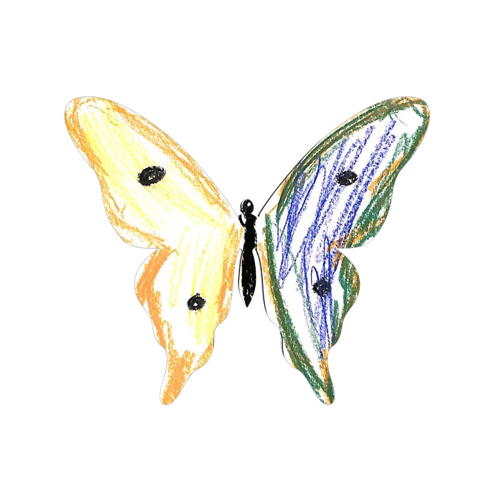 Original Butterfly Image