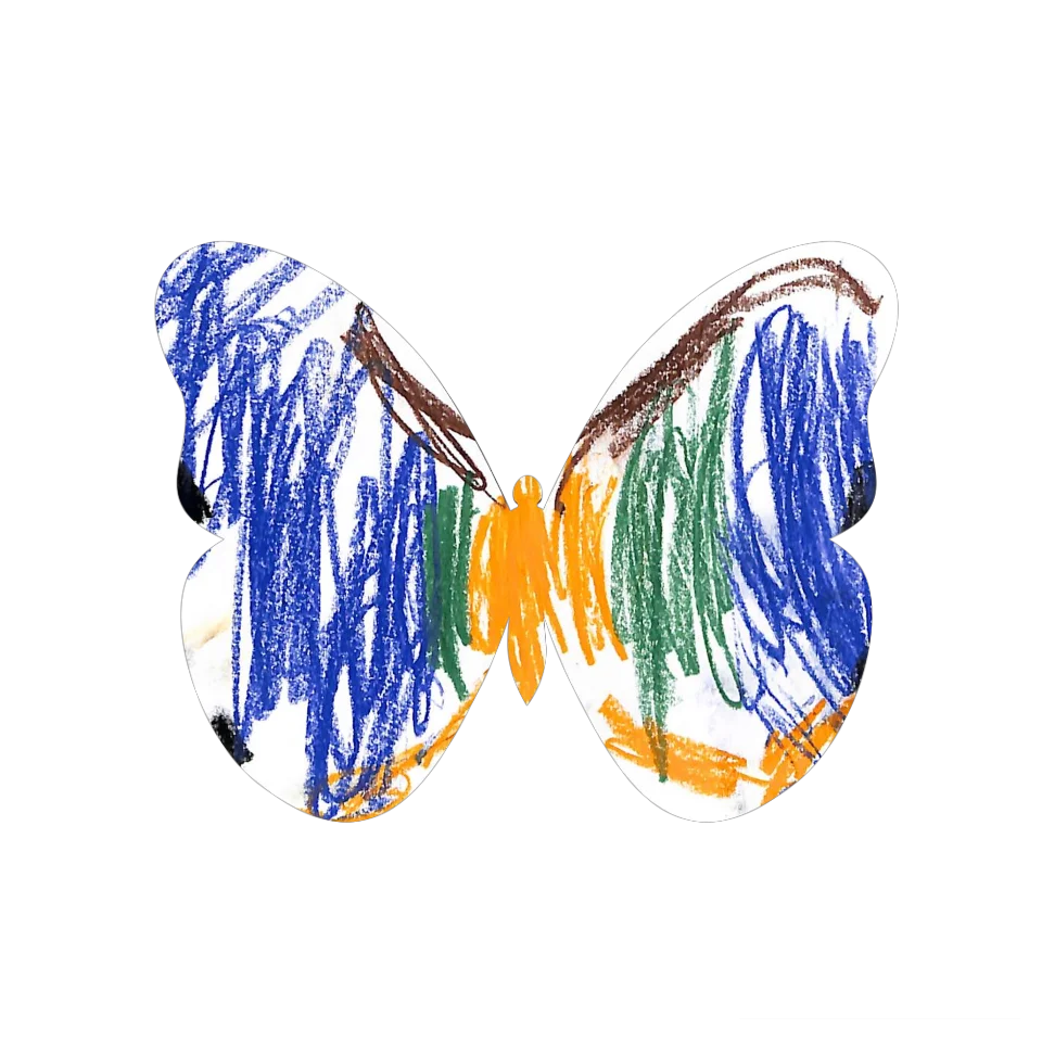 Original Butterfly Image