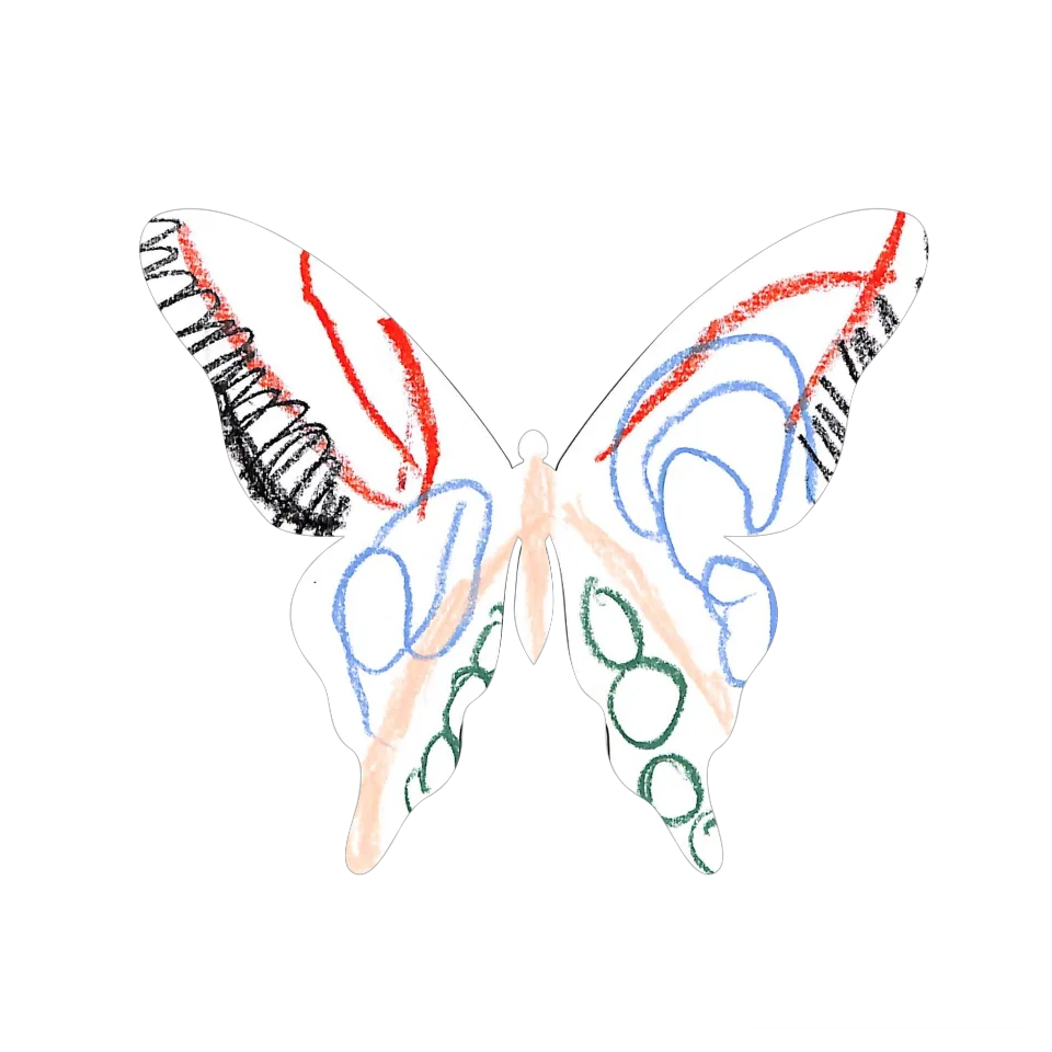 Original Butterfly Image