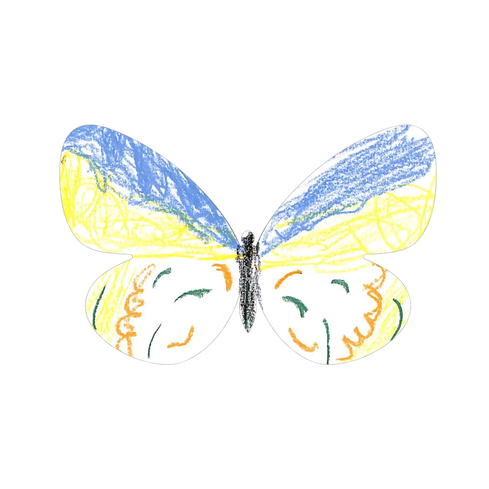 Original Butterfly Image