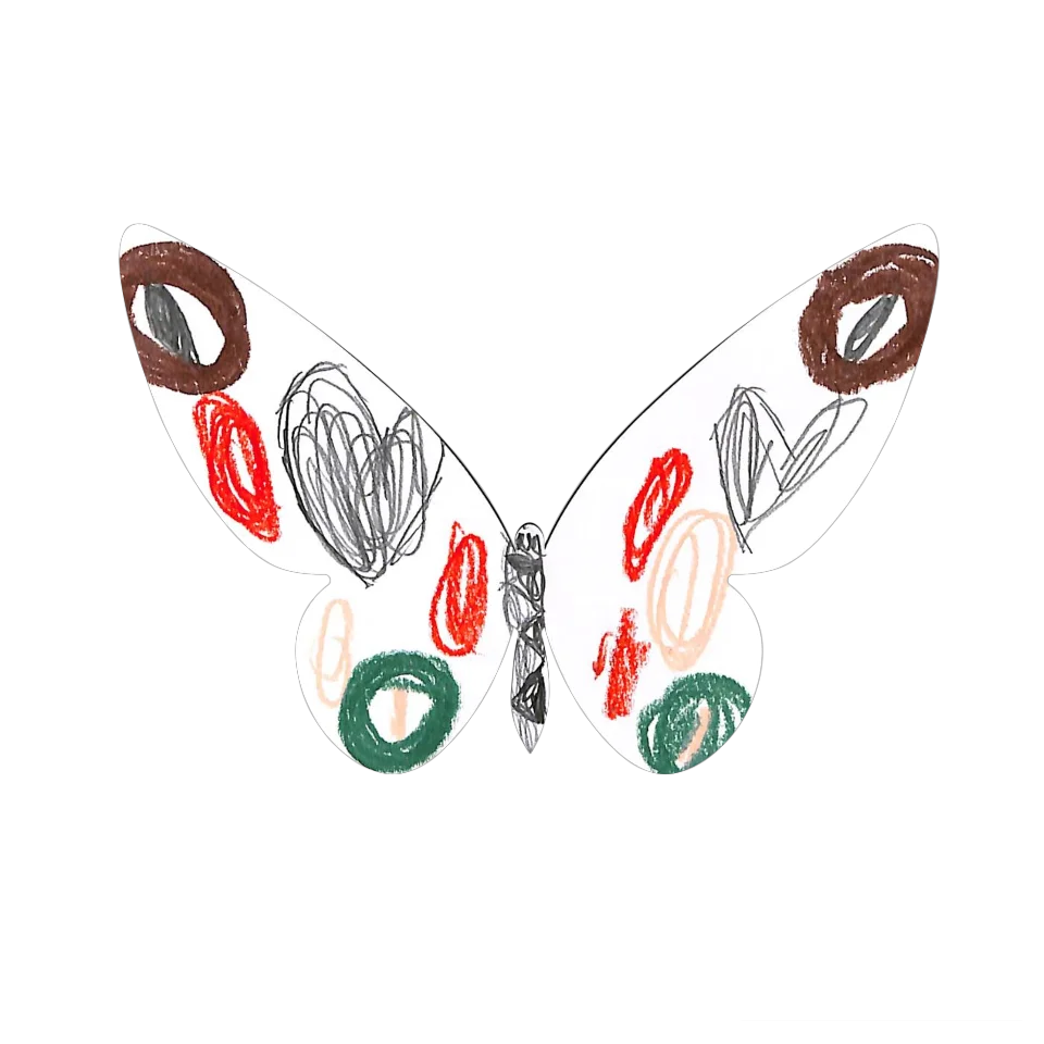 Original Butterfly Image
