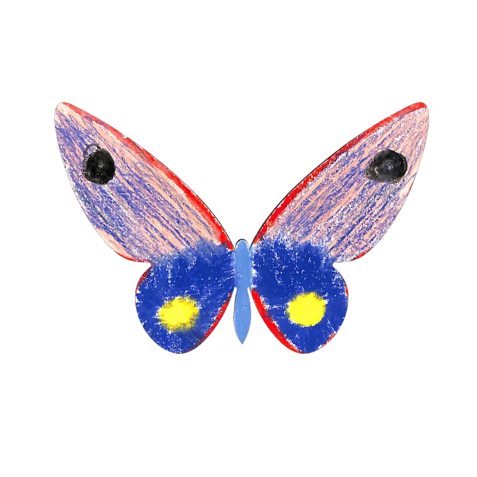 Original Butterfly Image