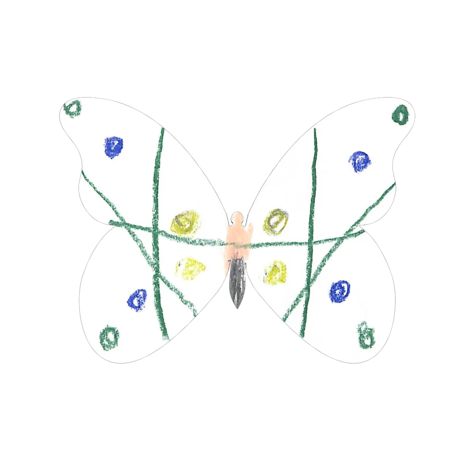 Original Butterfly Image