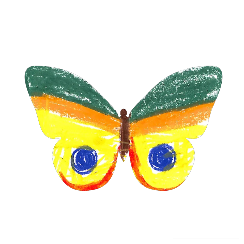 Original Butterfly Image