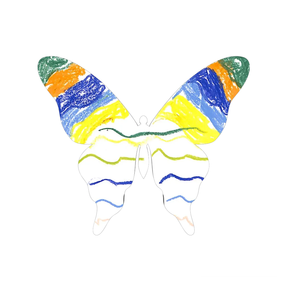 Original Butterfly Image