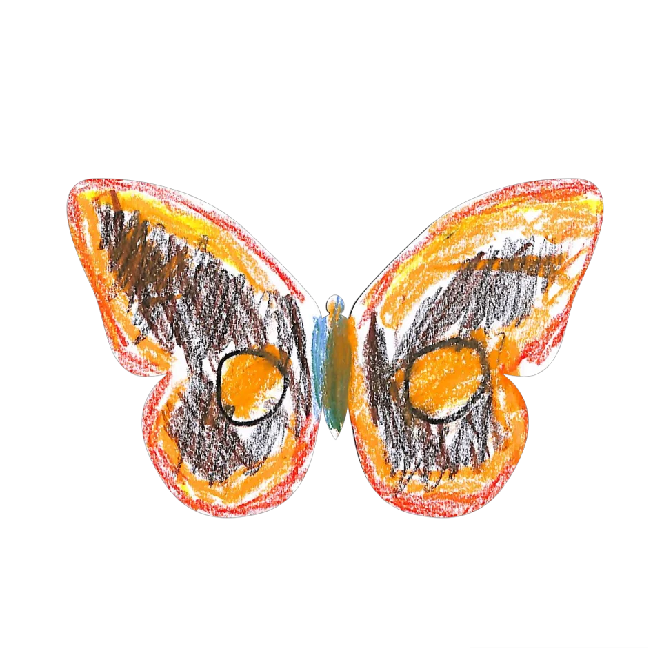 Original Butterfly Image