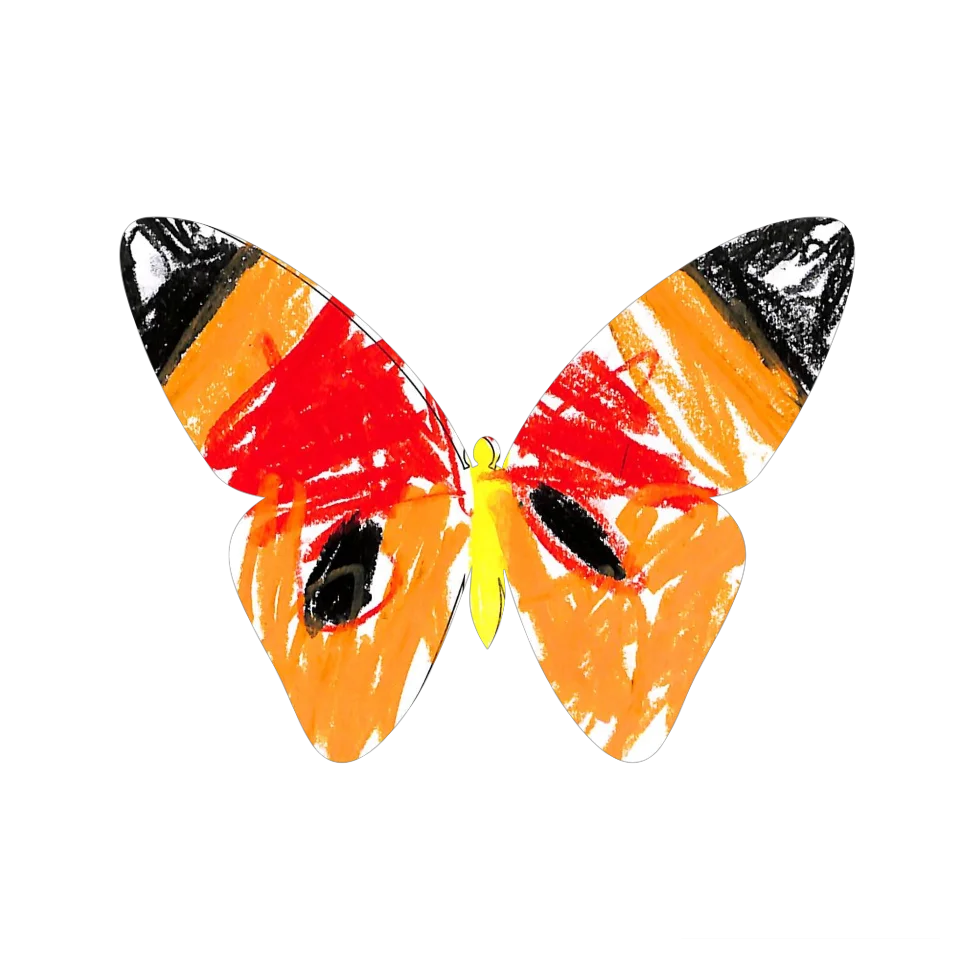 Original Butterfly Image