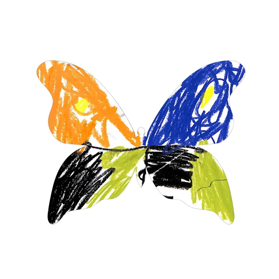 Original Butterfly Image