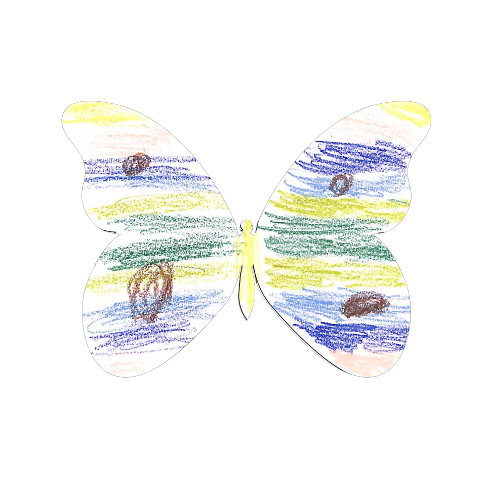 Original Butterfly Image