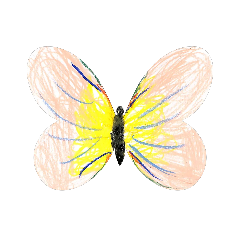 Original Butterfly Image