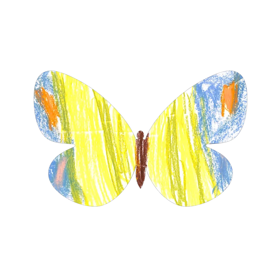 Original Butterfly Image