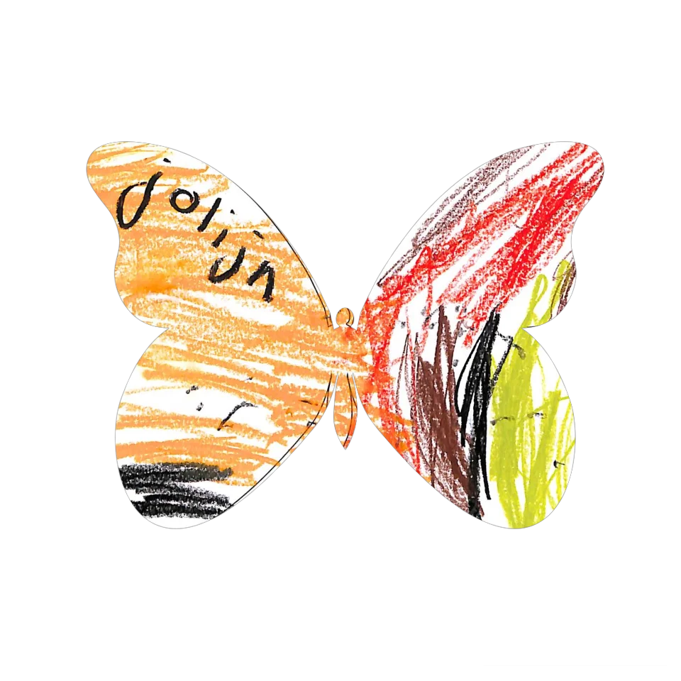 Original Butterfly Image