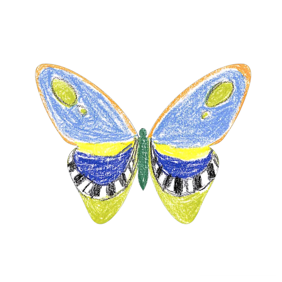 Original Butterfly Image