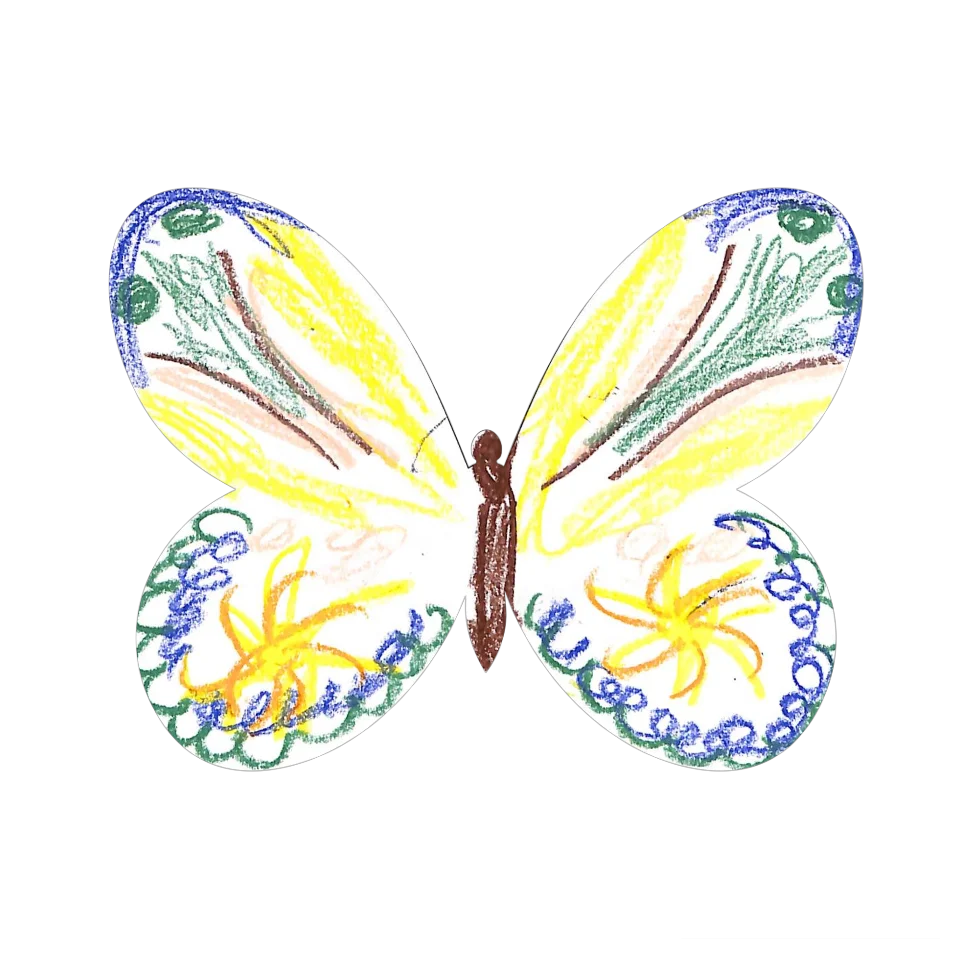 Original Butterfly Image