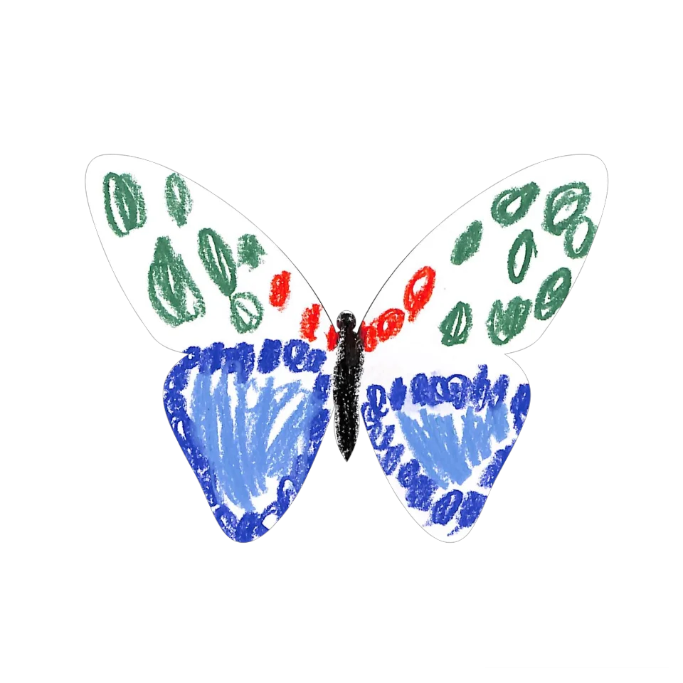 Original Butterfly Image