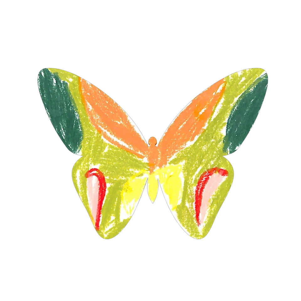 Original Butterfly Image