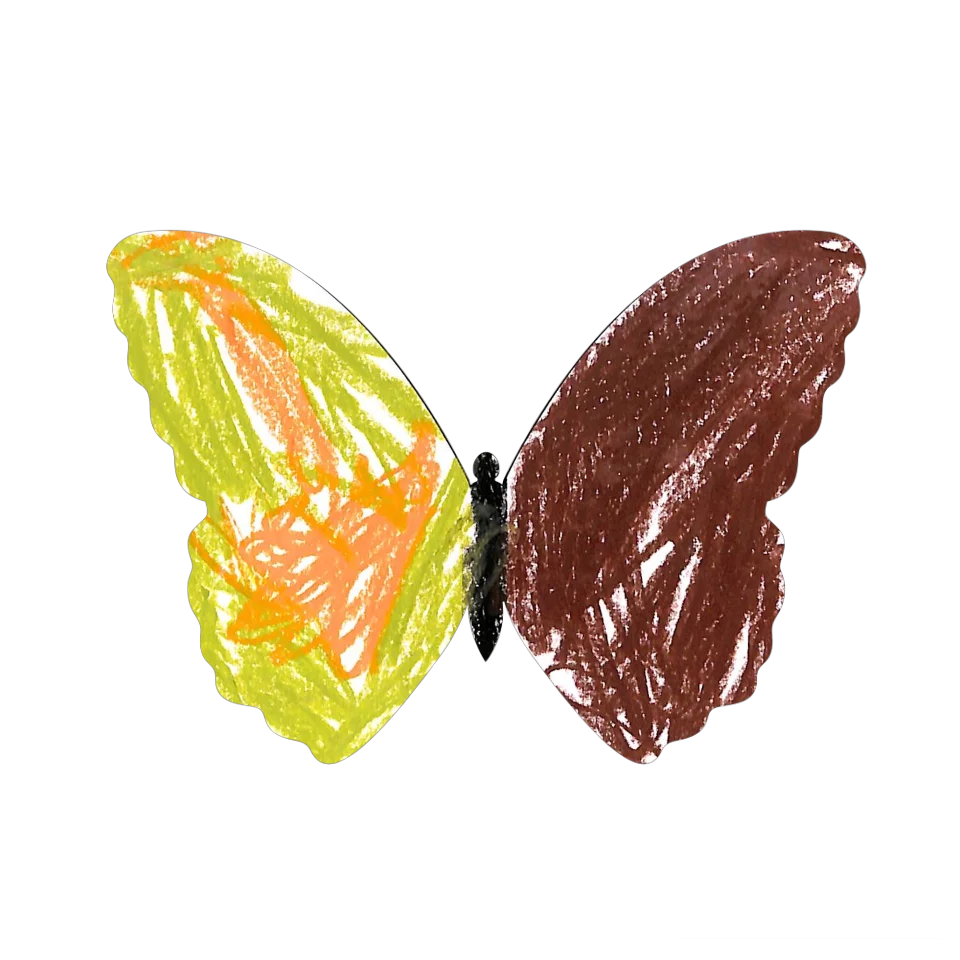 Original Butterfly Image