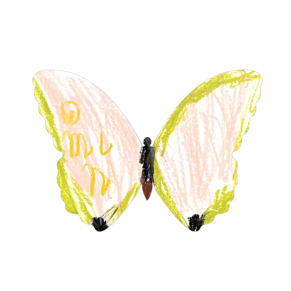 Original Butterfly Image