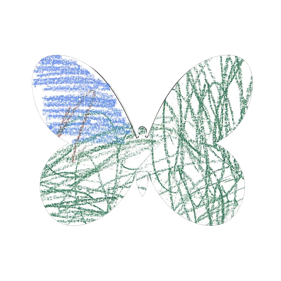 Original Butterfly Image